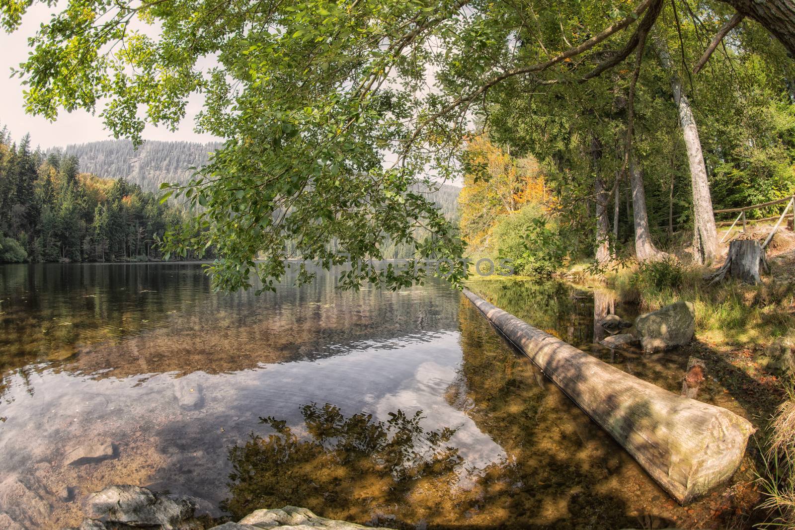 Landscape scene at the lake great arber, Bavaria by sandra_fotodesign