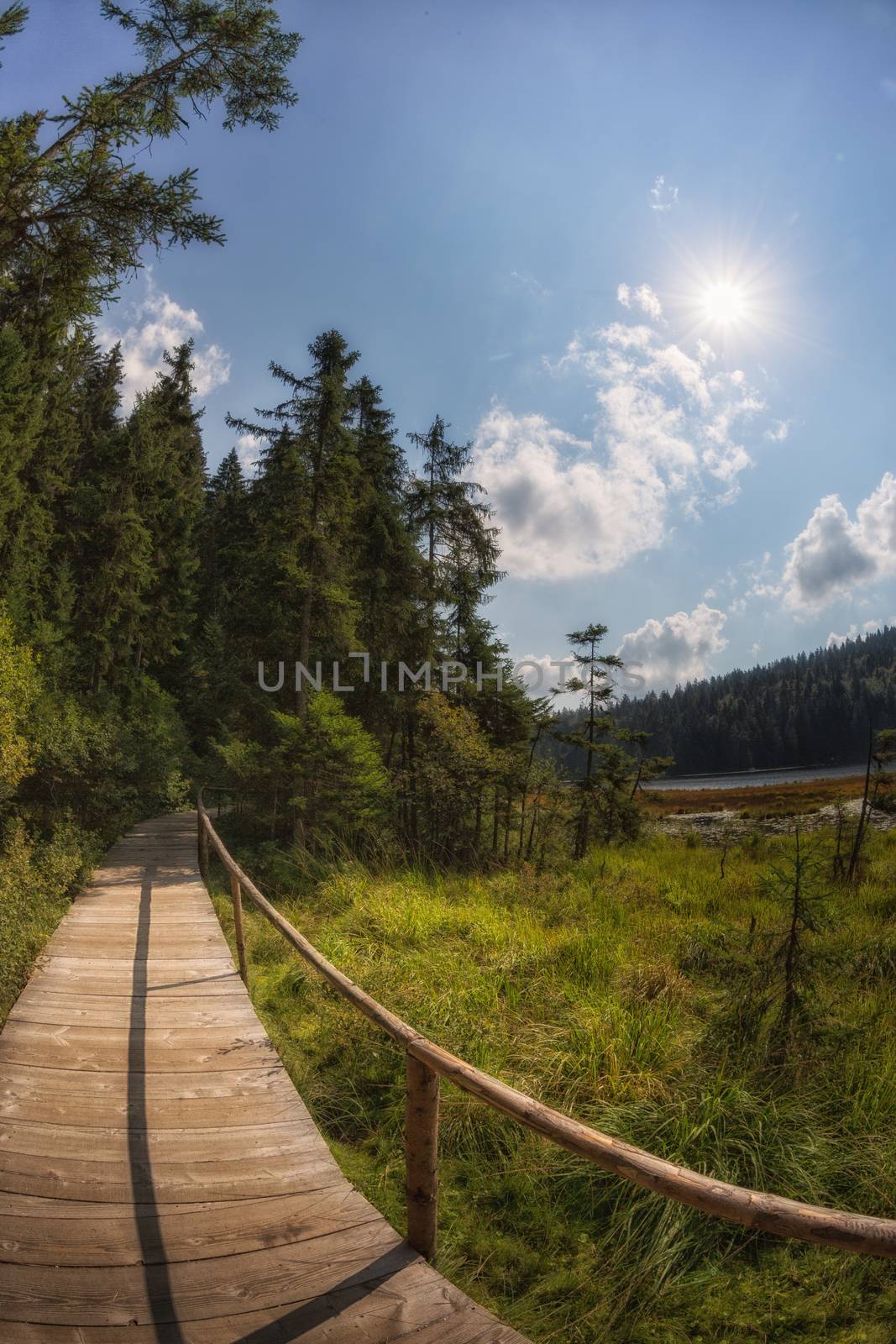 A walk around lake arbersse, Bavaria with blue Sky and sun
