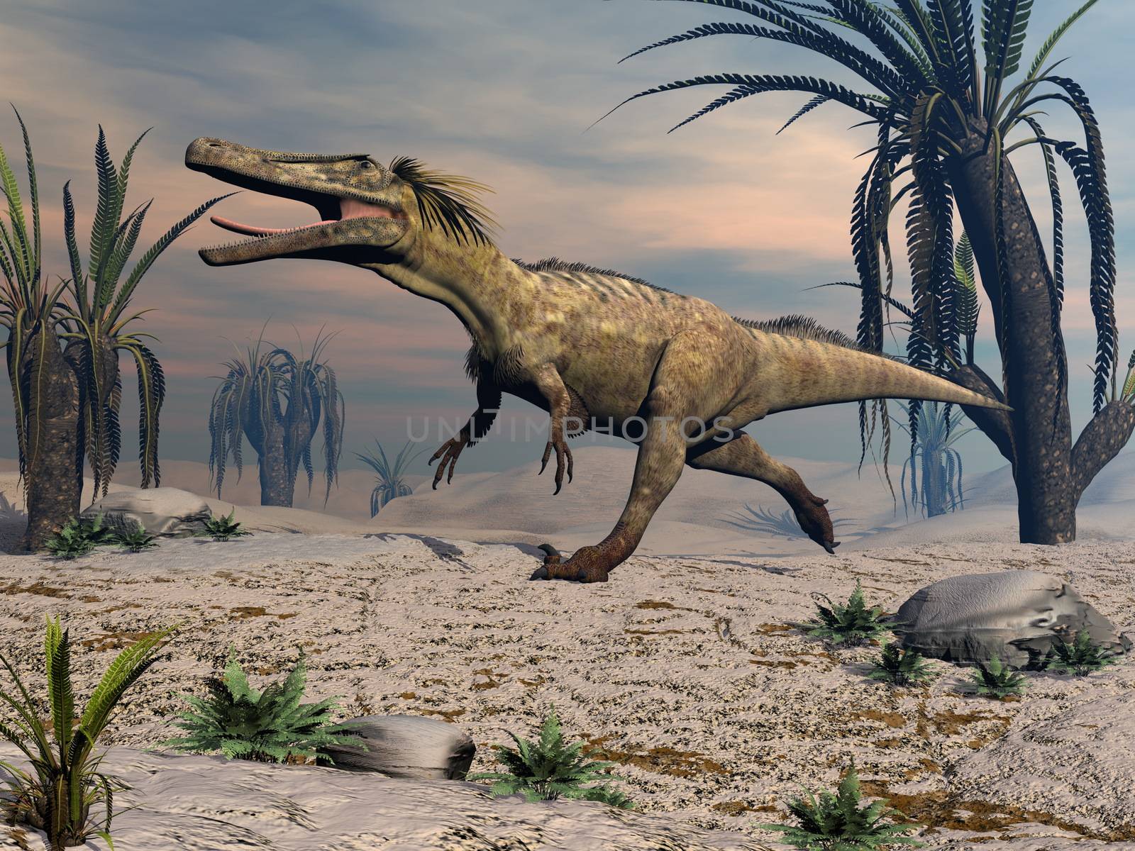 Austroraptor dinosaur walking in the desert by sunset -3D render