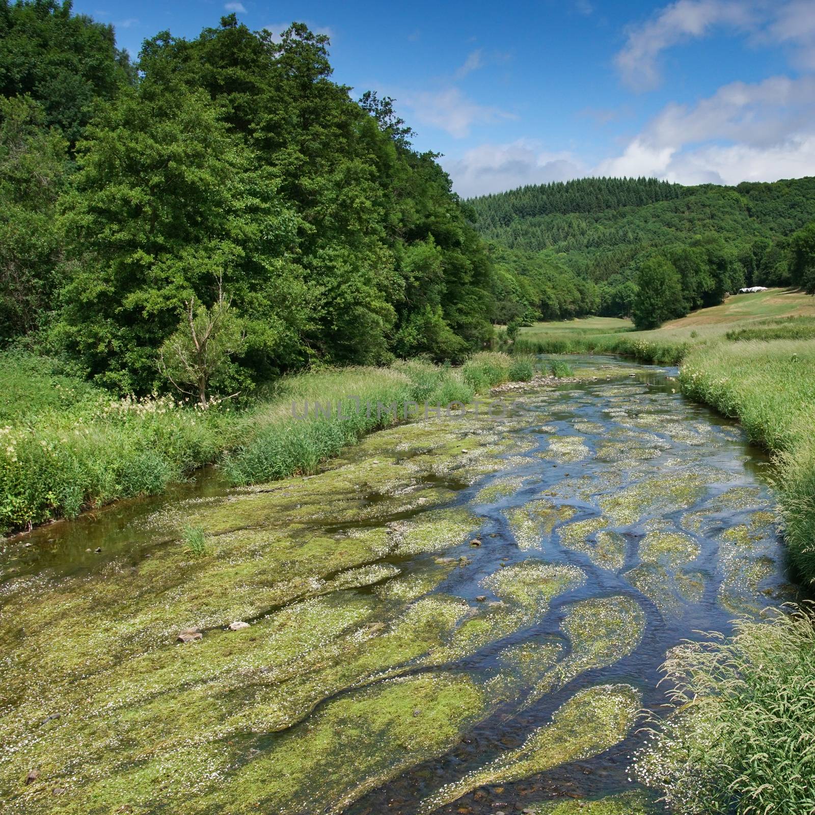 Creek, Landscape of Eifel, Germany by alfotokunst