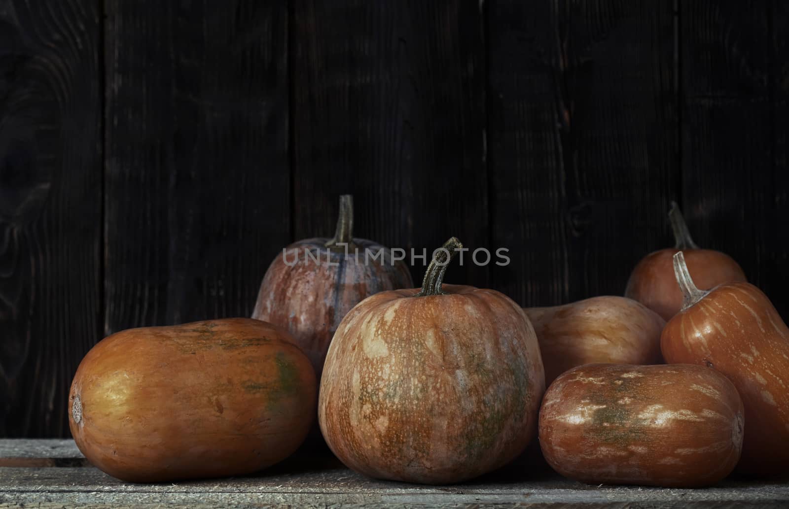 Stack of pumpkins after harvesting by Novic