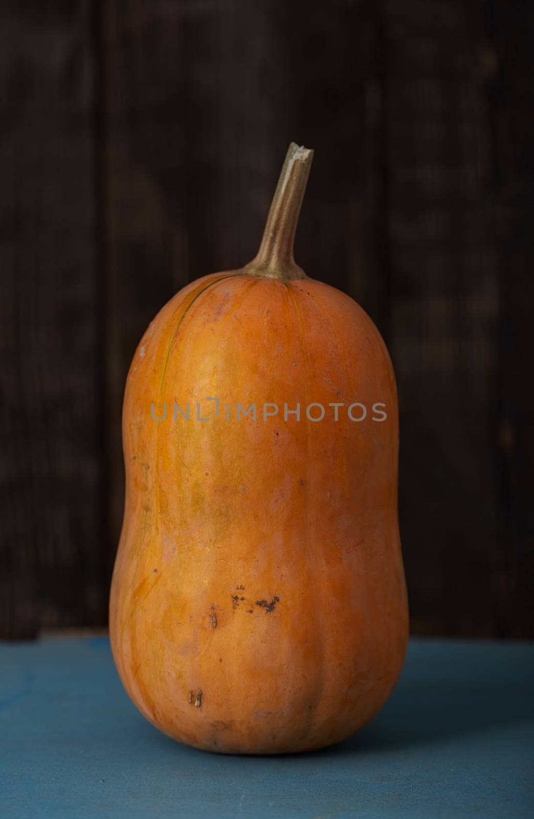 Pumpkin on a table by Novic