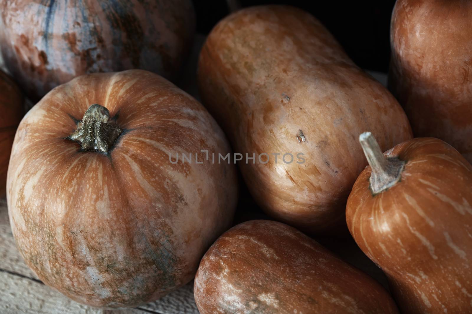 Group of pumpkins on a wooden table. Close-up