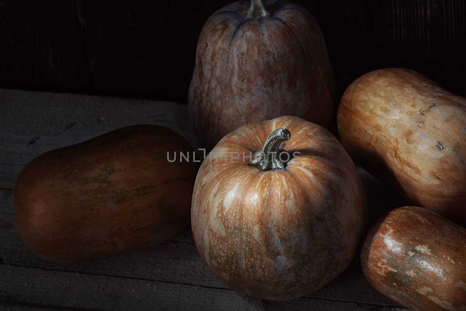 Group of pumpkins on a wooden table by Novic