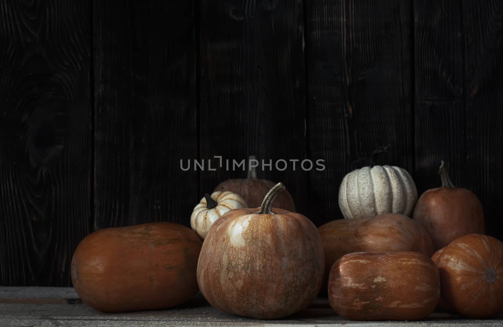 Stack of pumpkins after harvesting by Novic