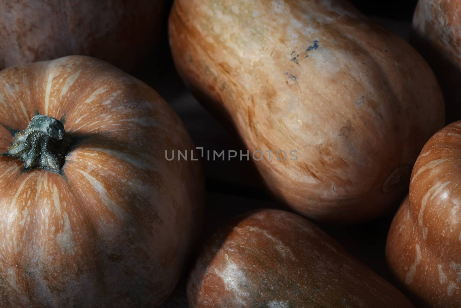 Stack of pumpkins on a wooden table. Close-up