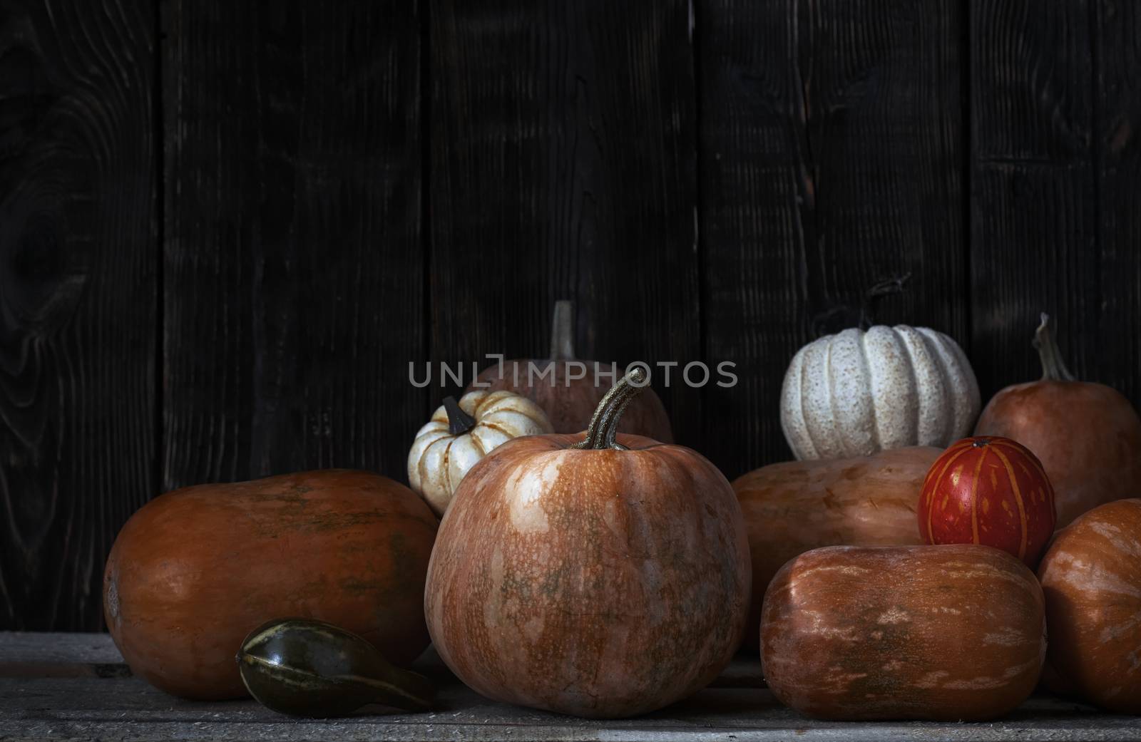 Stack of pumpkins after harvesting by Novic