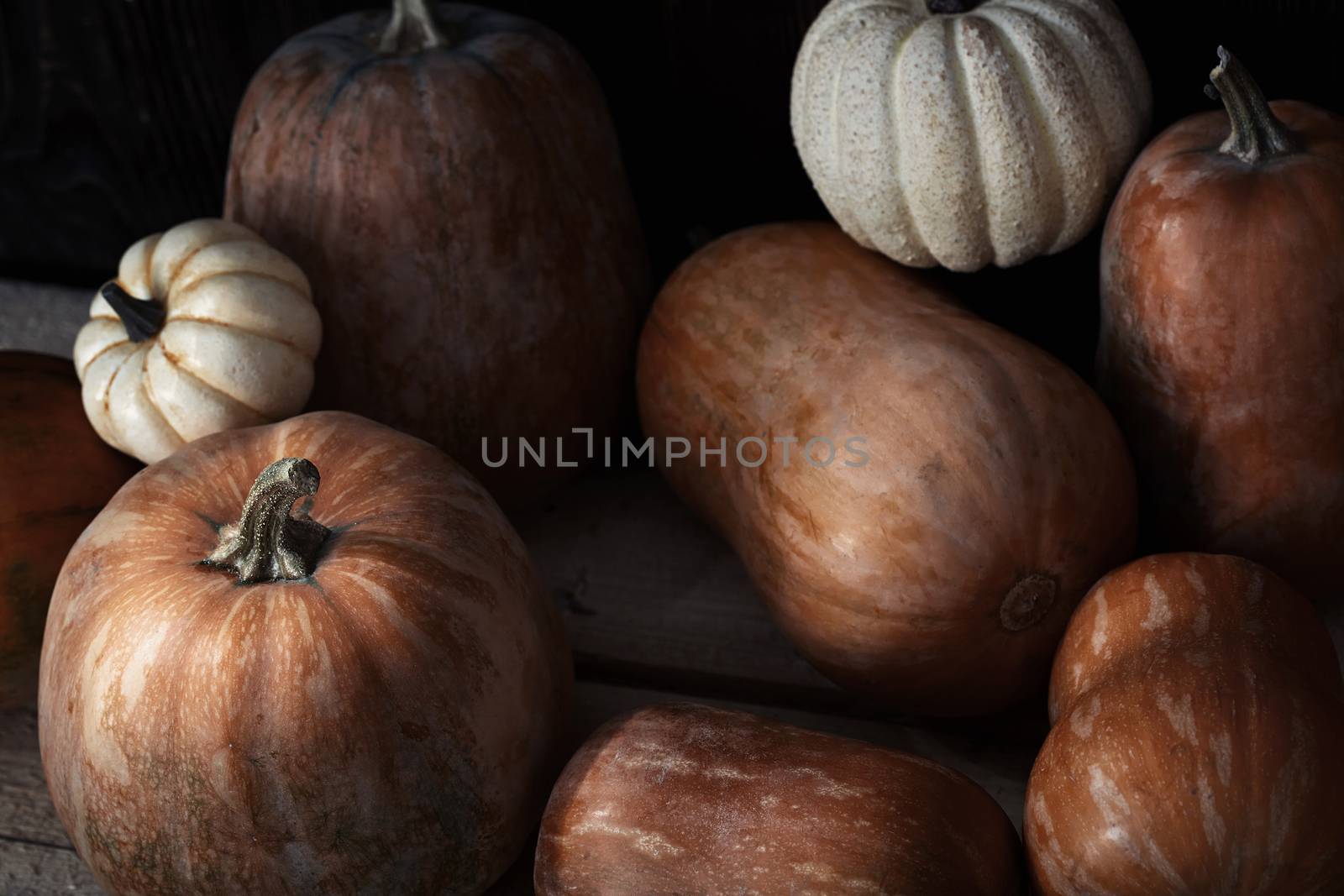 Group of pumpkins on a wooden table by Novic