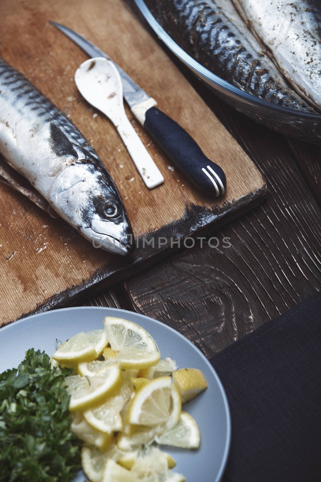 Fish food preparation by Novic