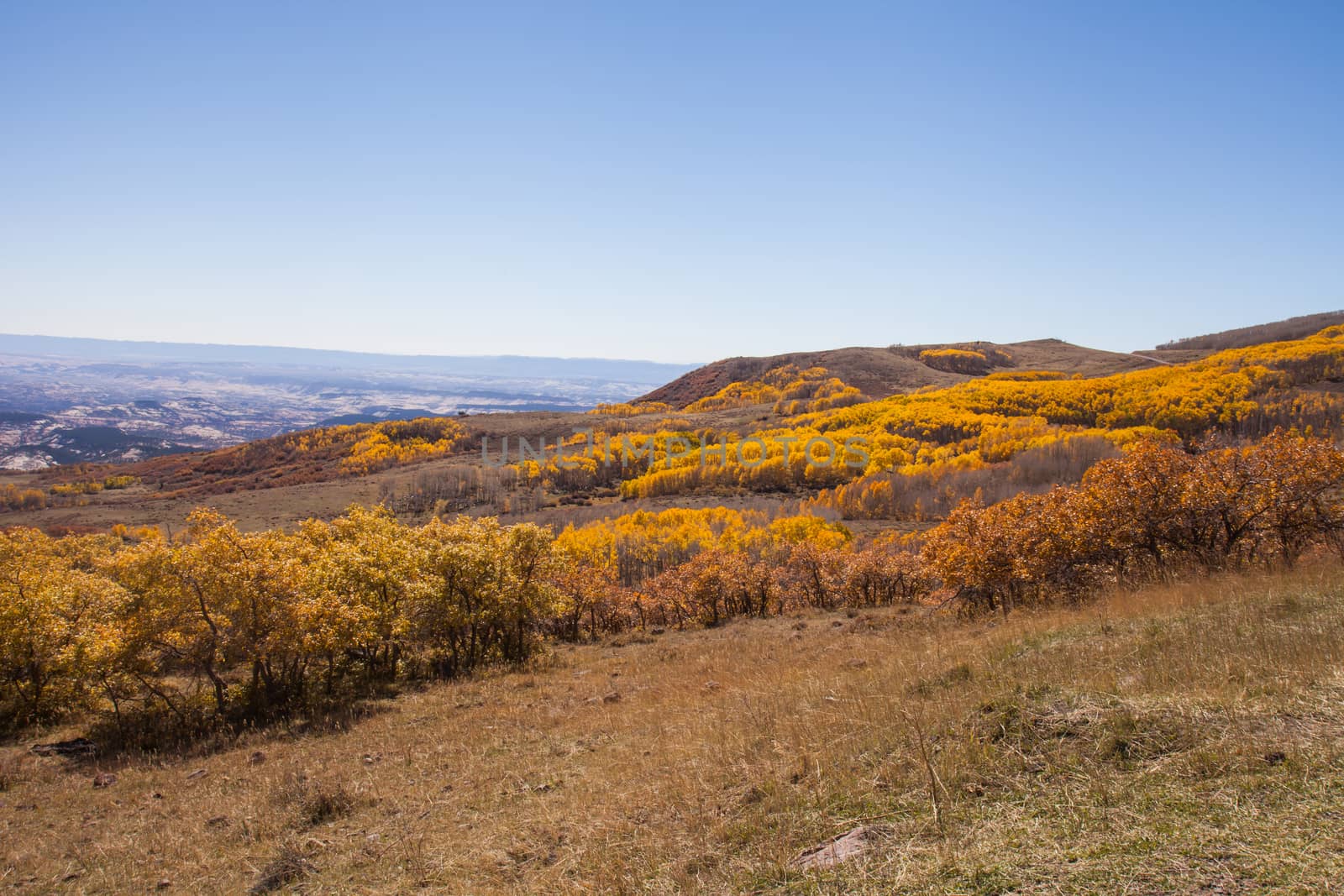Fall landscape Utah by kobus_peche