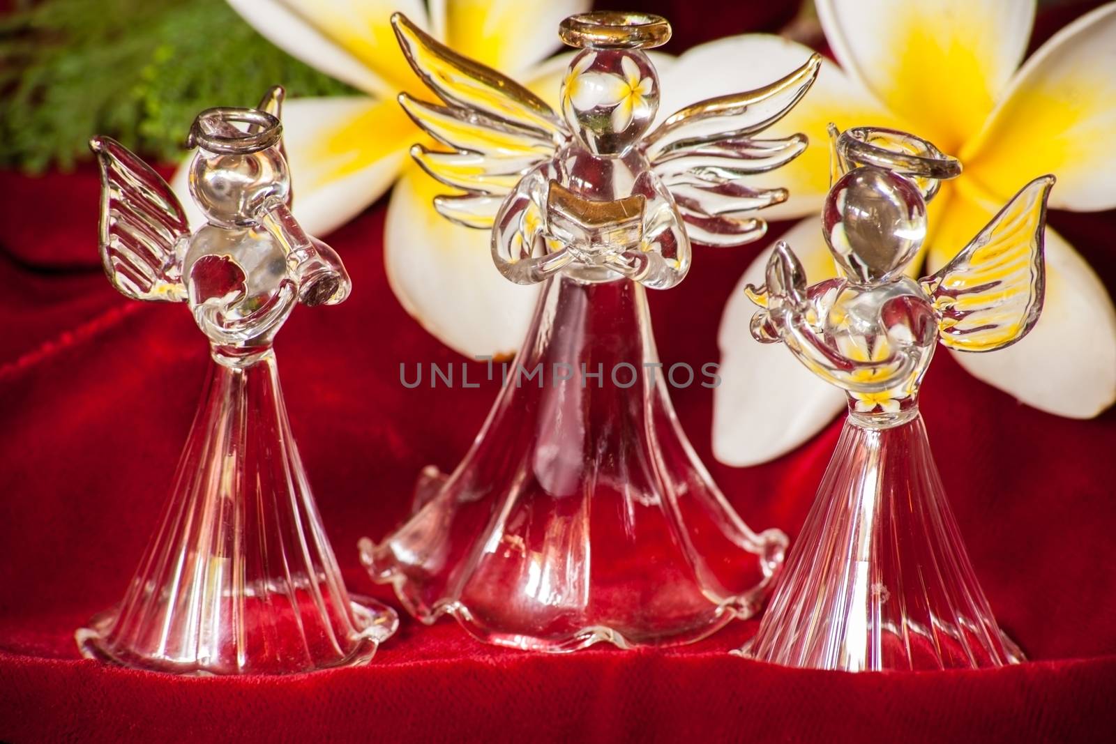 Three Glass Angels on Red Velvet reflecting the yellow flower of the Frangipani.
