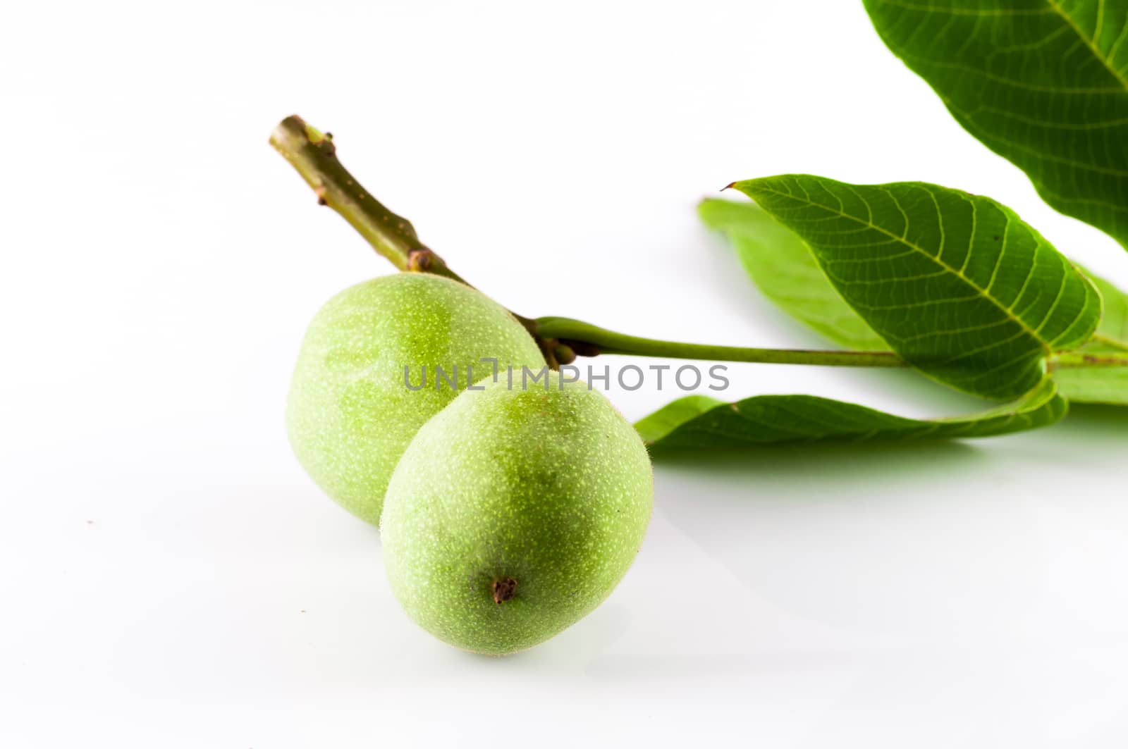 Closeup of Isolated fresh walnuts on white background