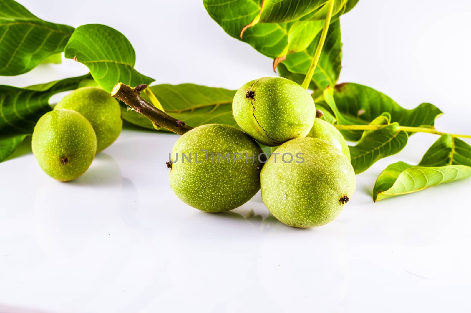 Isolated fresh walnuts on white background by replica