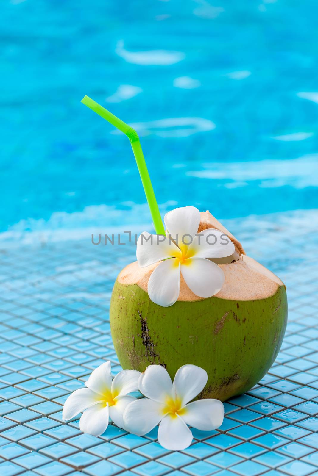 coconut with straw and white flowers frangipani on the edge of the pool in Thailand