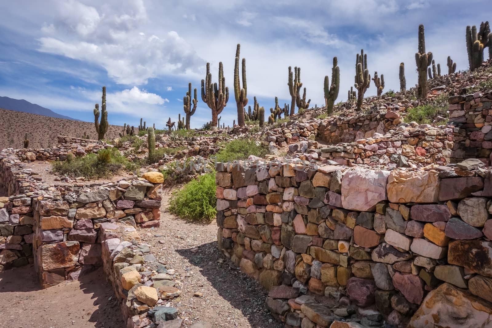 Pukara de Tilcara, pre-Columbian fortifications, Argentina