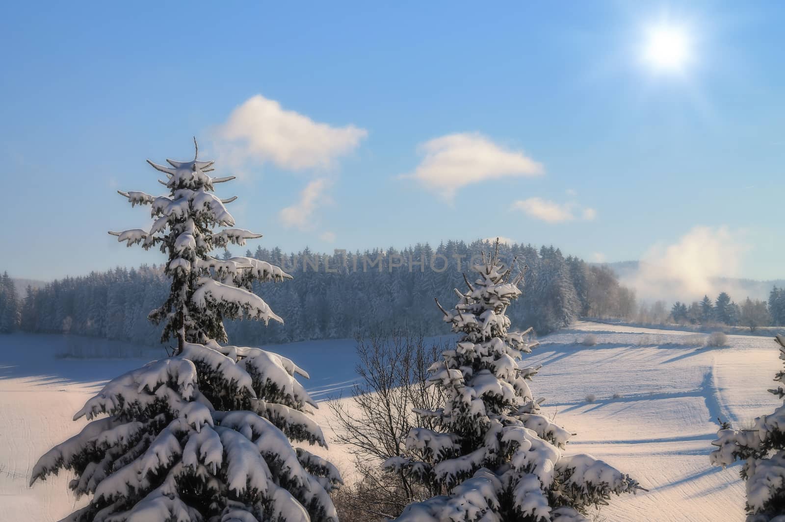 A beautiful winter landscape scene with blue sky