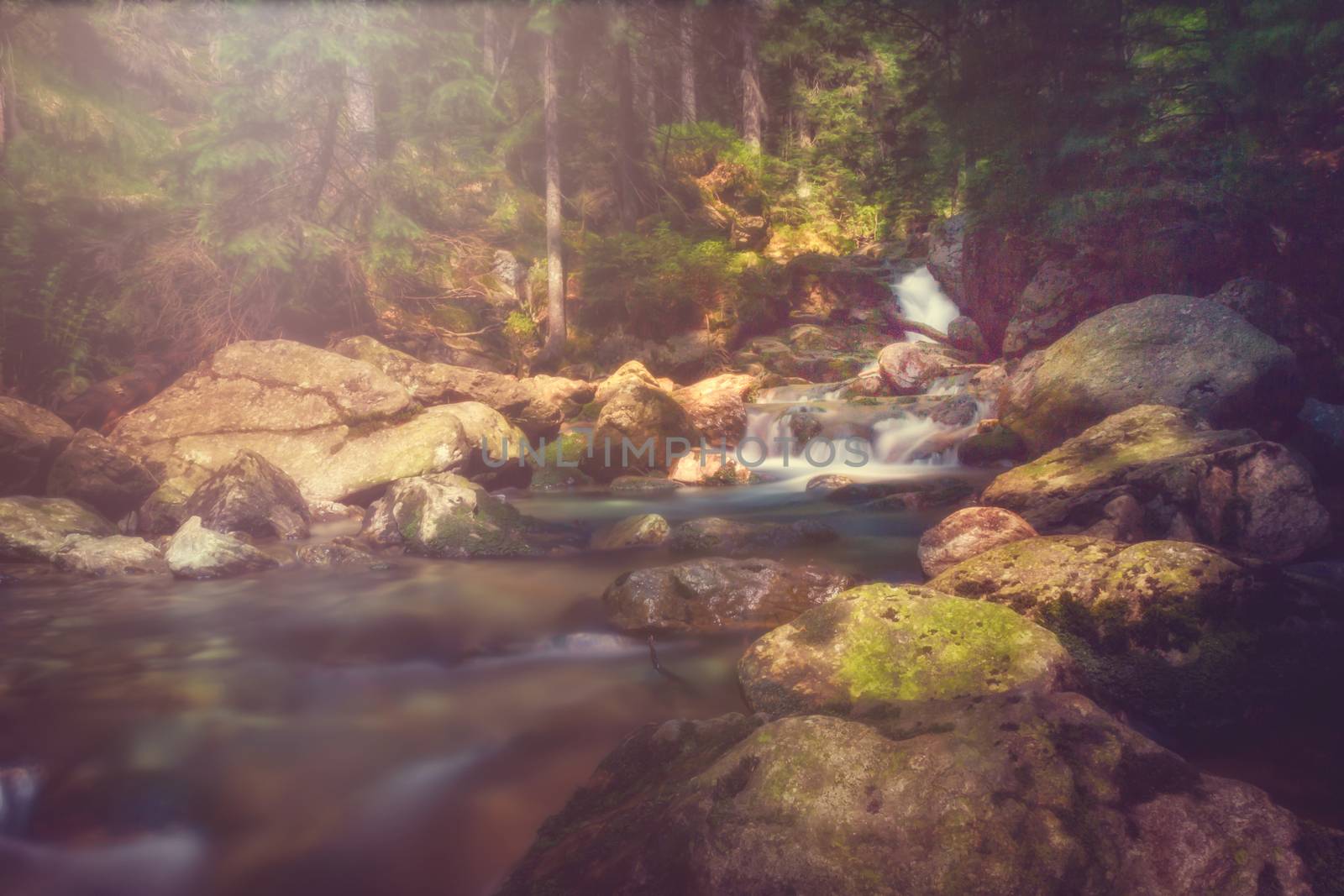 Long exposure from a little river with rocks