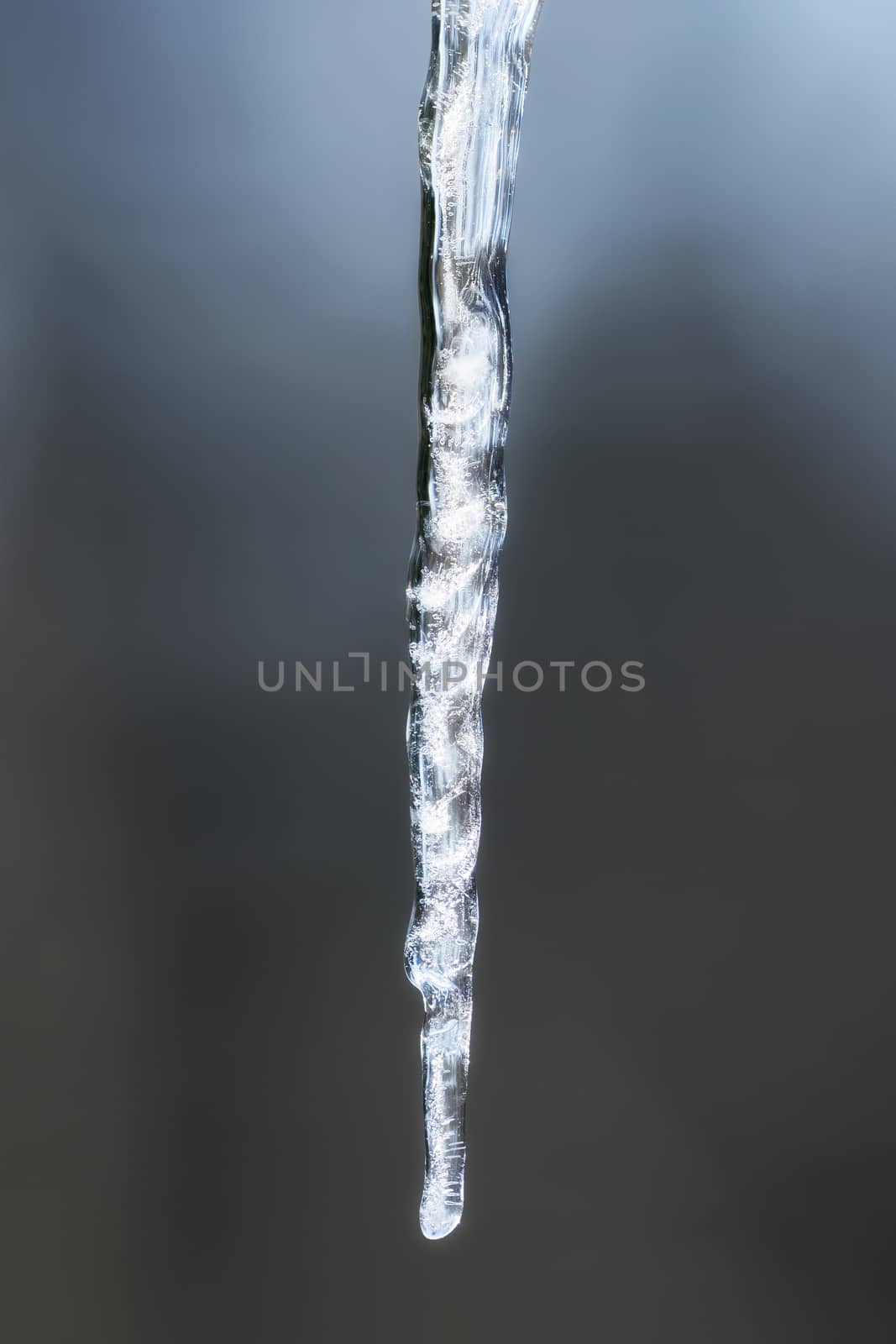 Long shining icicle against a blue background