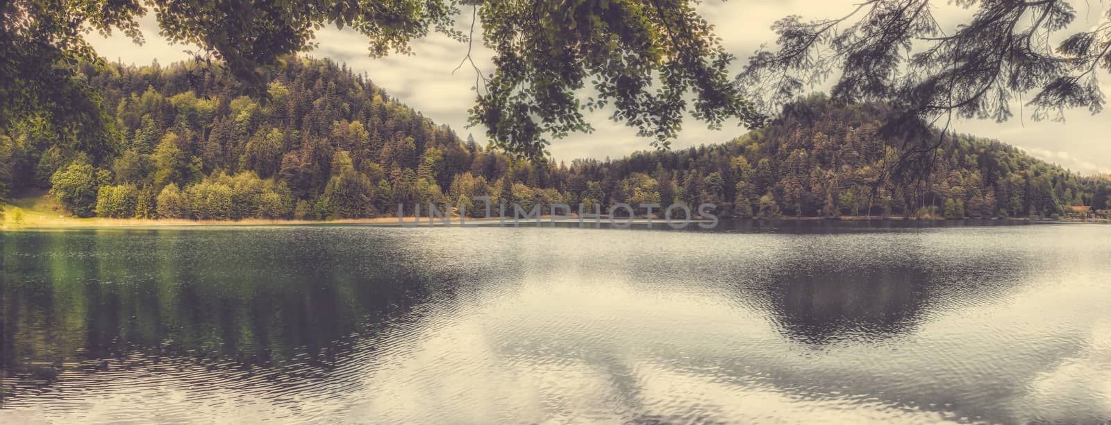 Panorama from lake alatsee in Füssen, Allgäu  by sandra_fotodesign