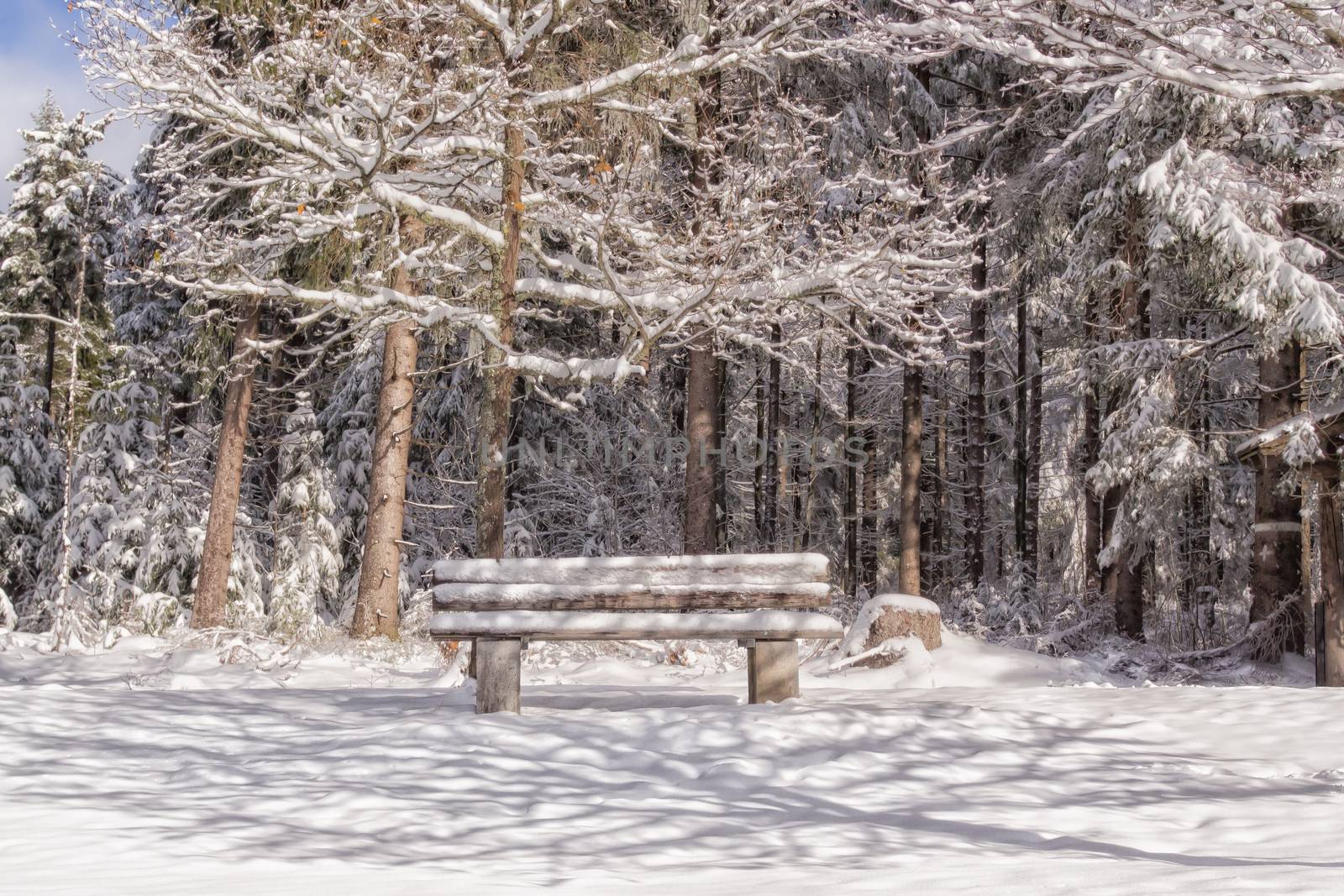 Wooden bench in a winter landscape