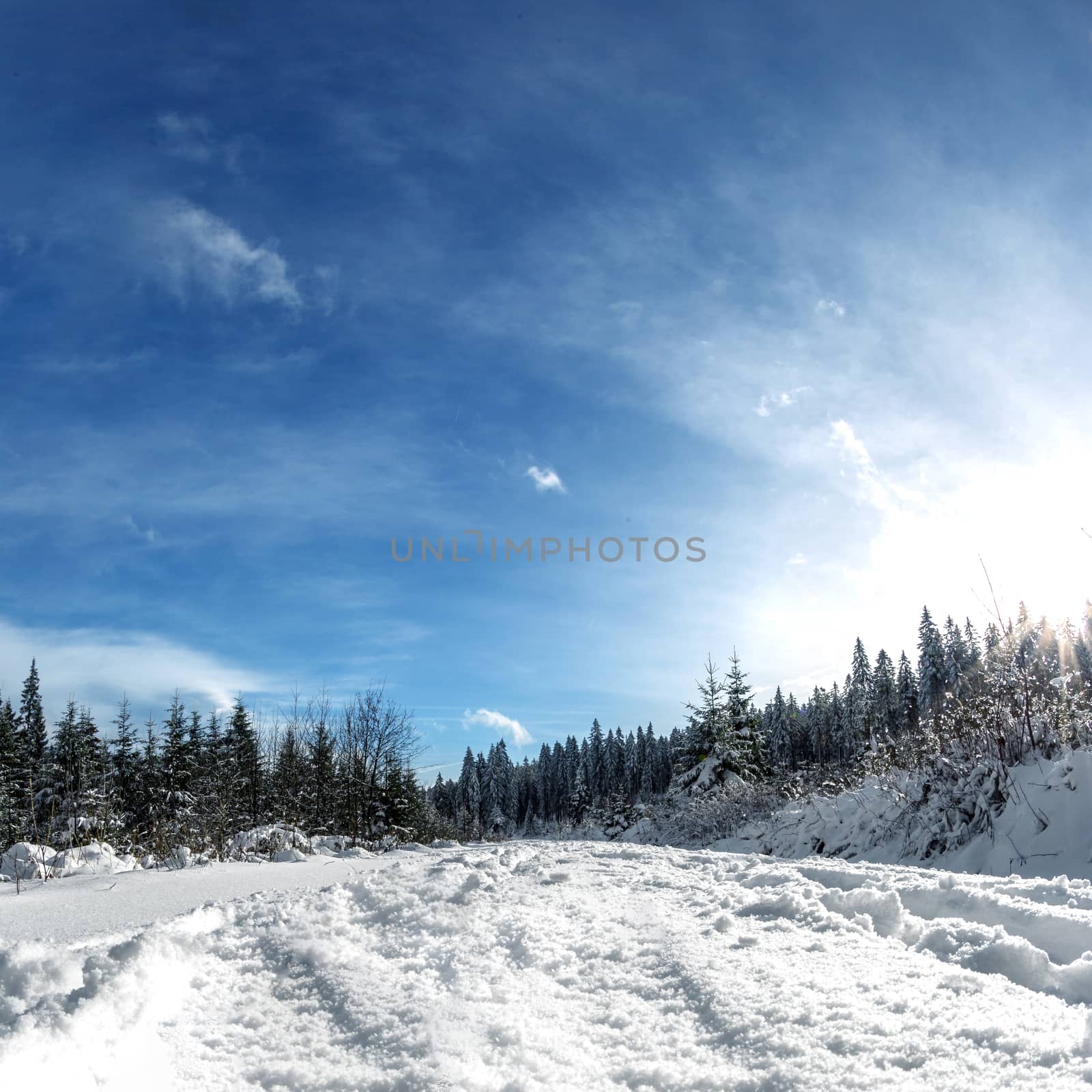 Winter landscape, cross country ski trail