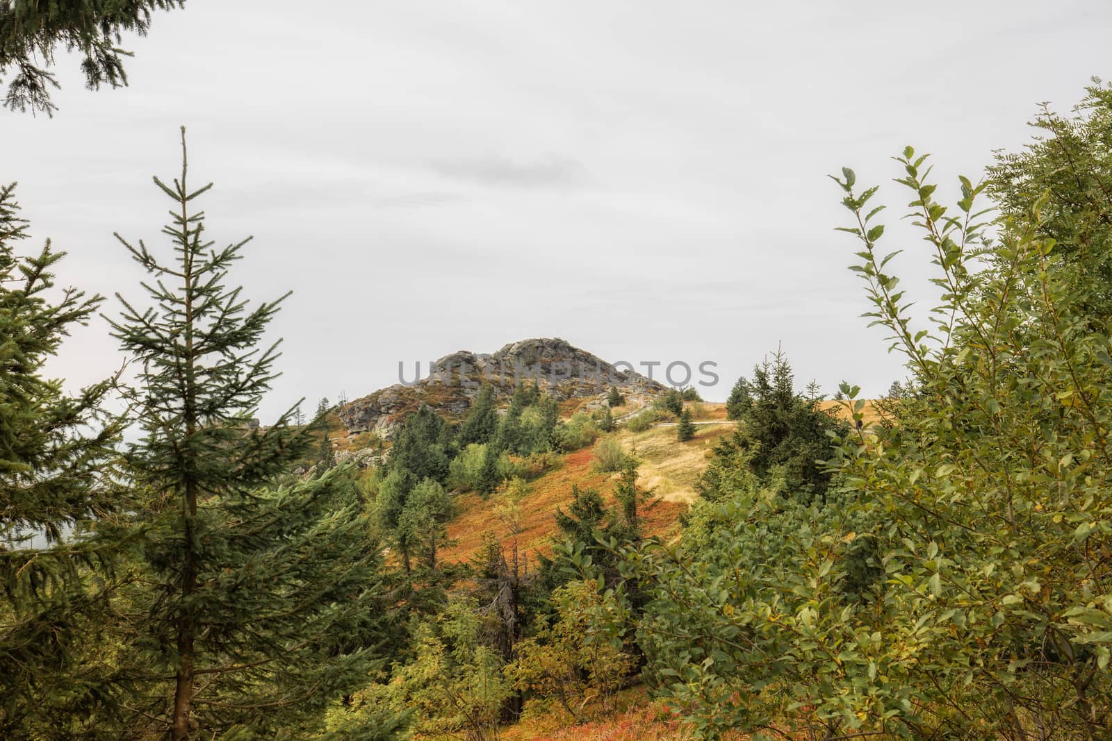 A beautiful landscape scene on the mountain great arber, Bavaria