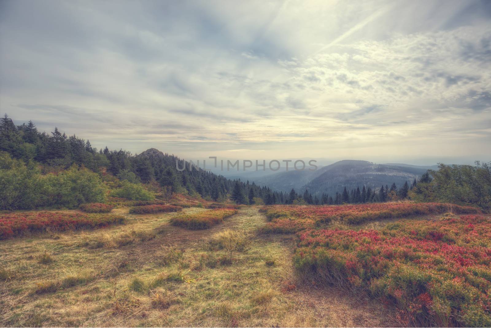 A view from mountain great arber, Bavaria by sandra_fotodesign