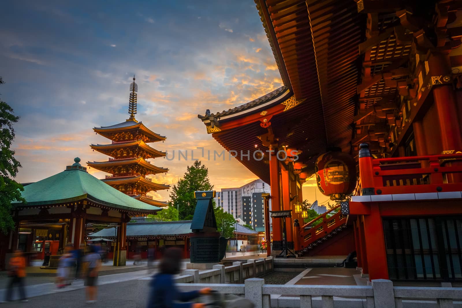 Hondo and pagoda at sunset in Senso-ji temple, Tokyo, Japan by daboost