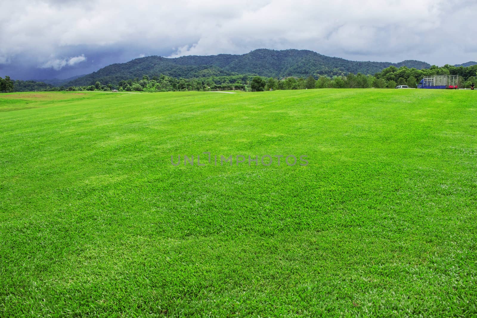 Lawn with sky background. by start08