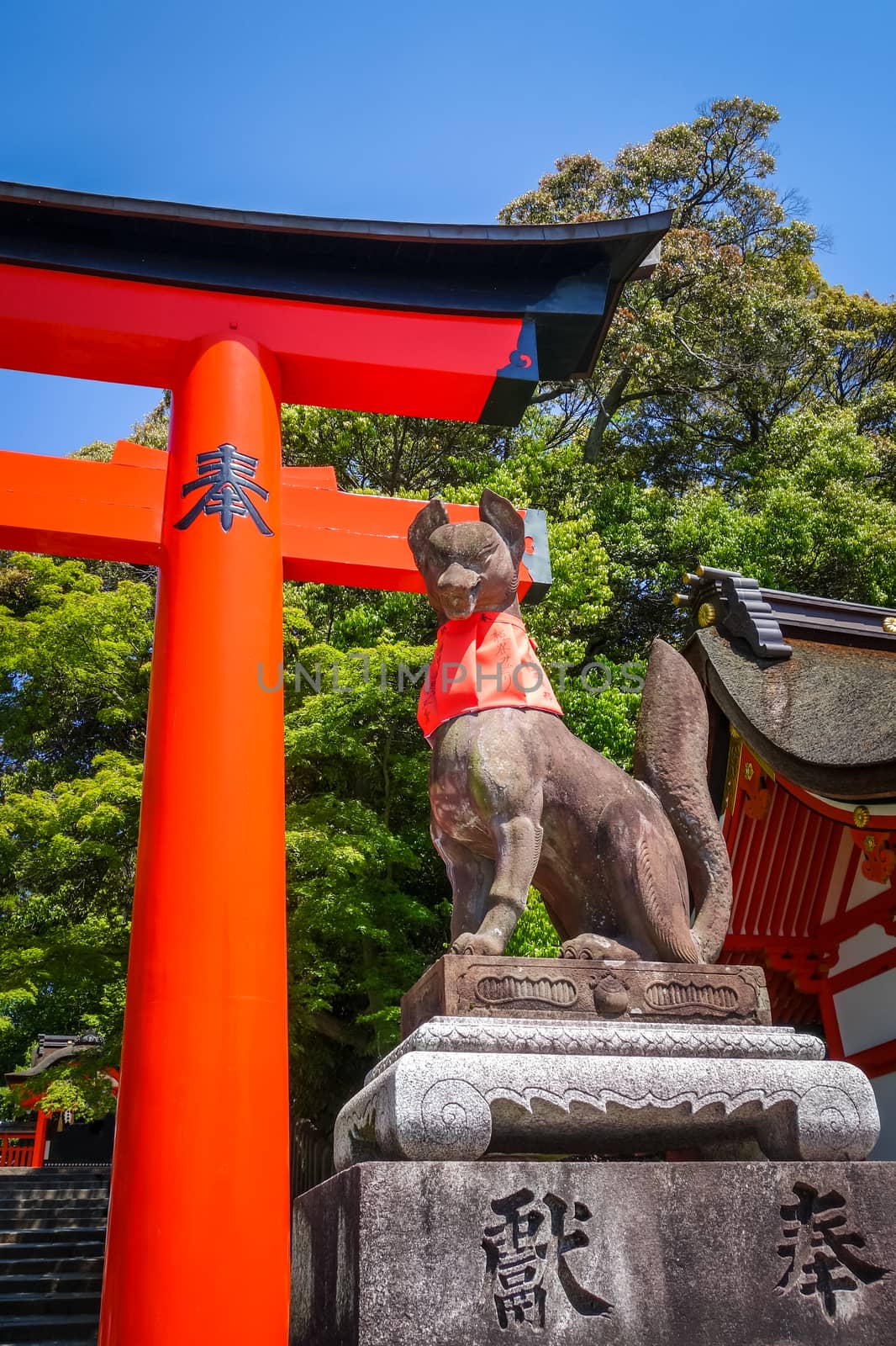 Fox statue at Fushimi Inari Taisha, Kyoto, Japan by daboost