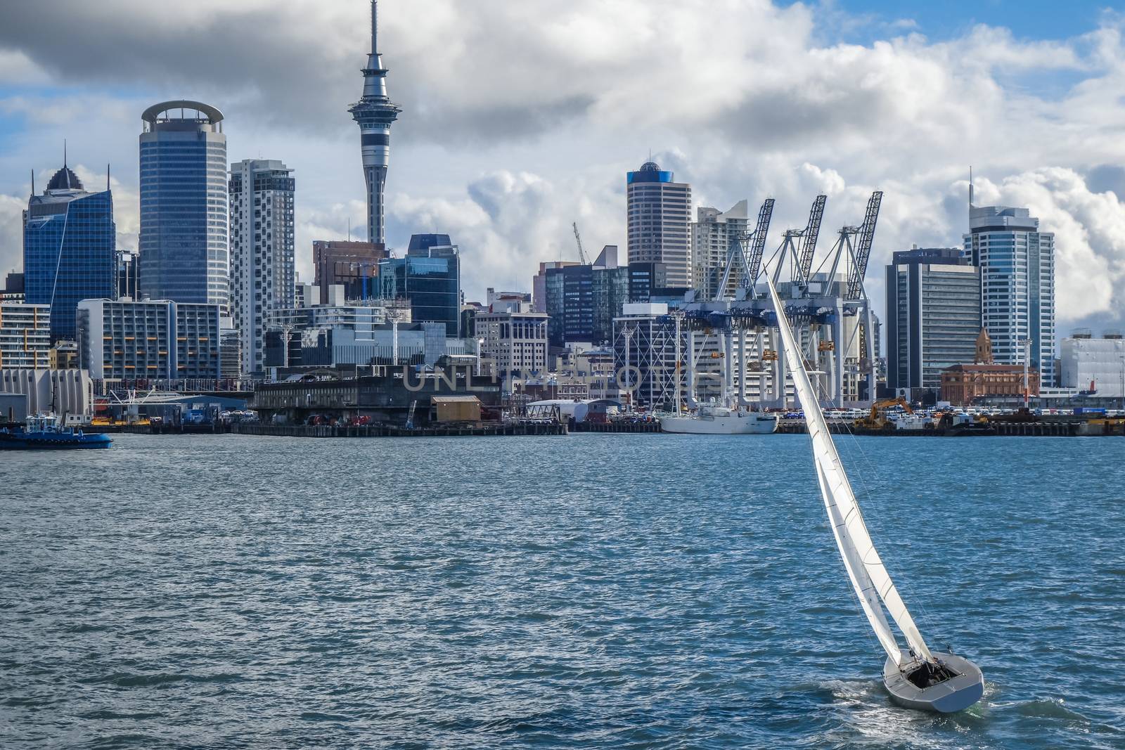 Auckland city center view from the sea and sailing ship, New Zealand