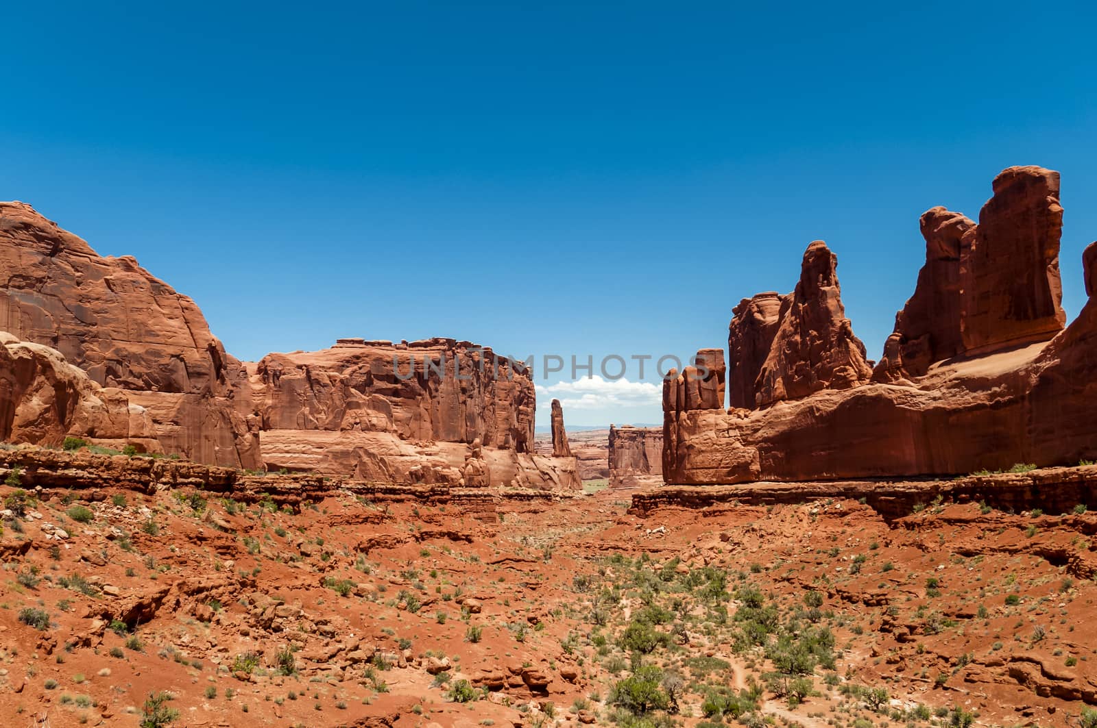 Park Avenue canyon at Arches National Park Utah by asafaric