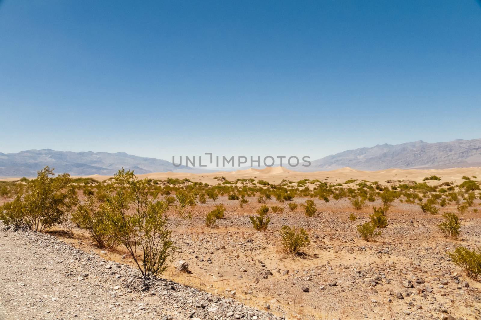 Death Valley sand dunes