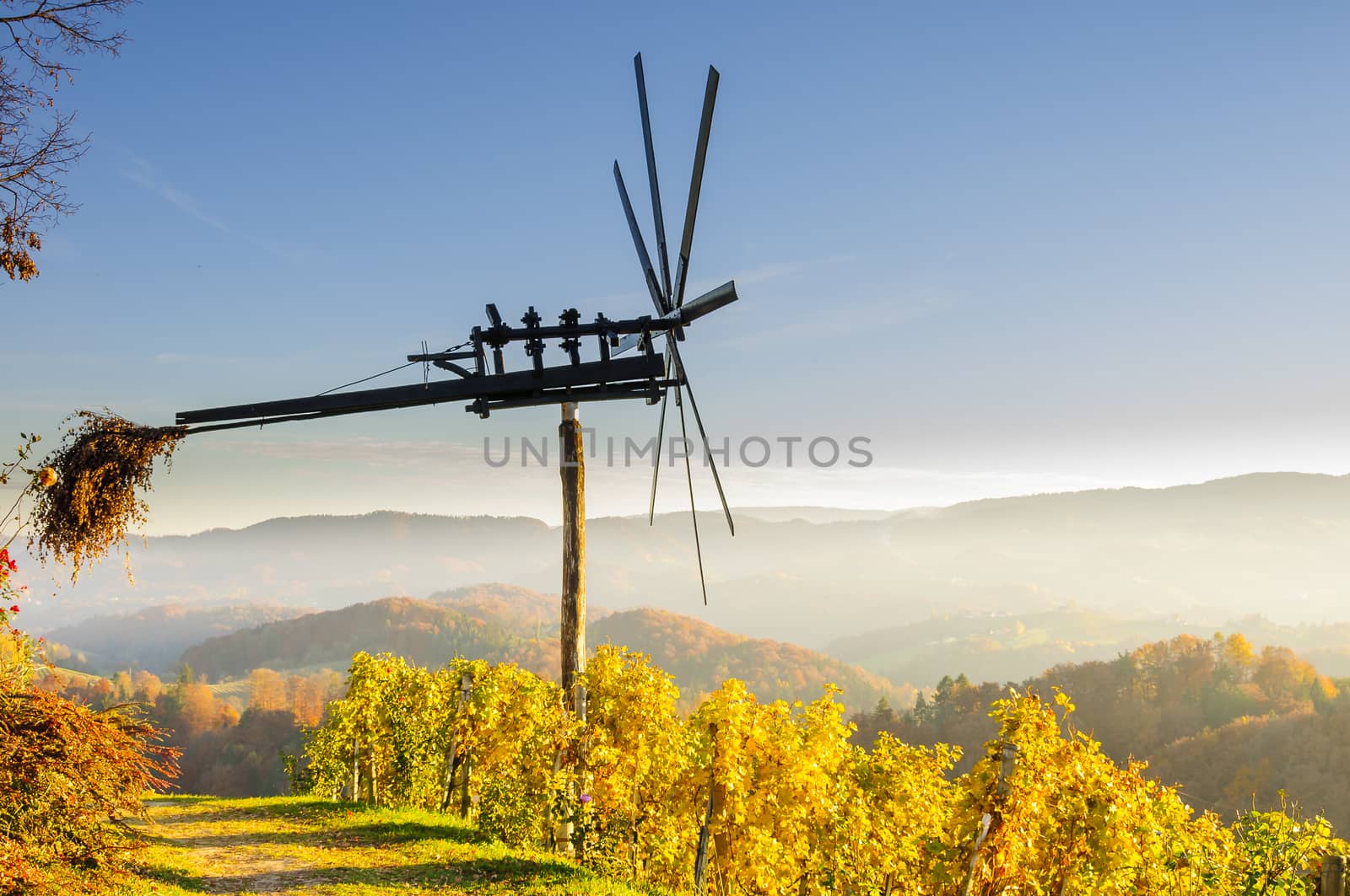 Traditional slovene scarecrow erected in vineyards in autumn