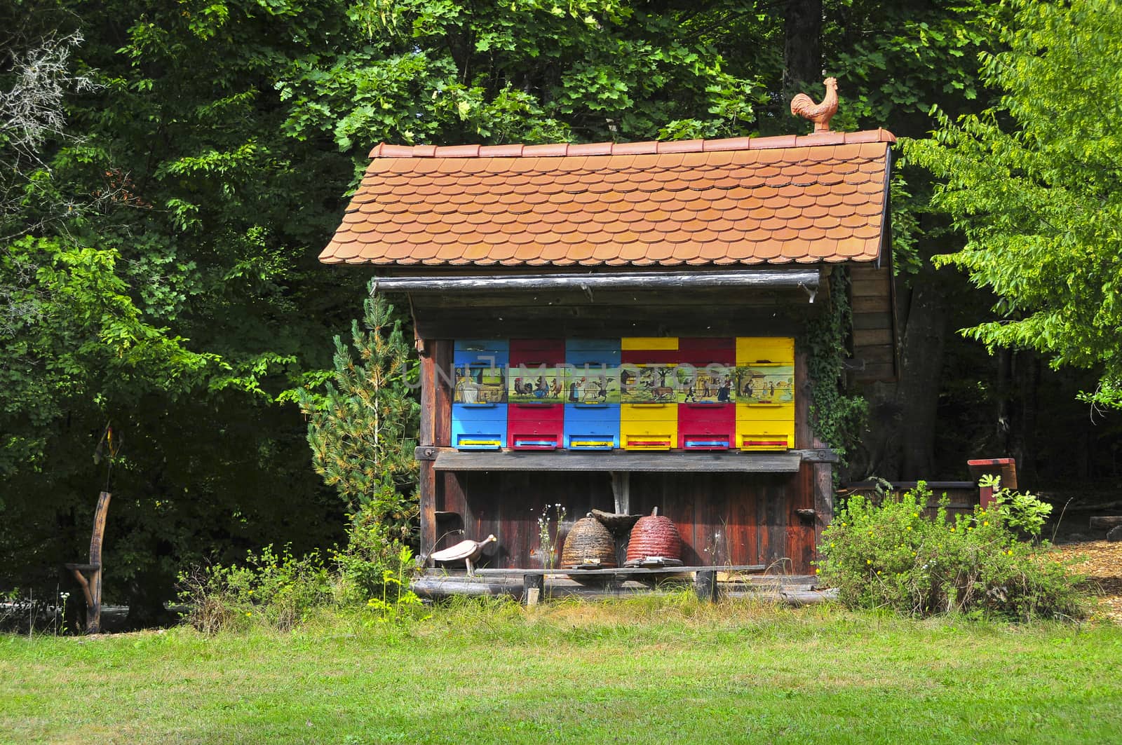 Traditional colorful and picturesque wooden bee hive in Slovenia by asafaric