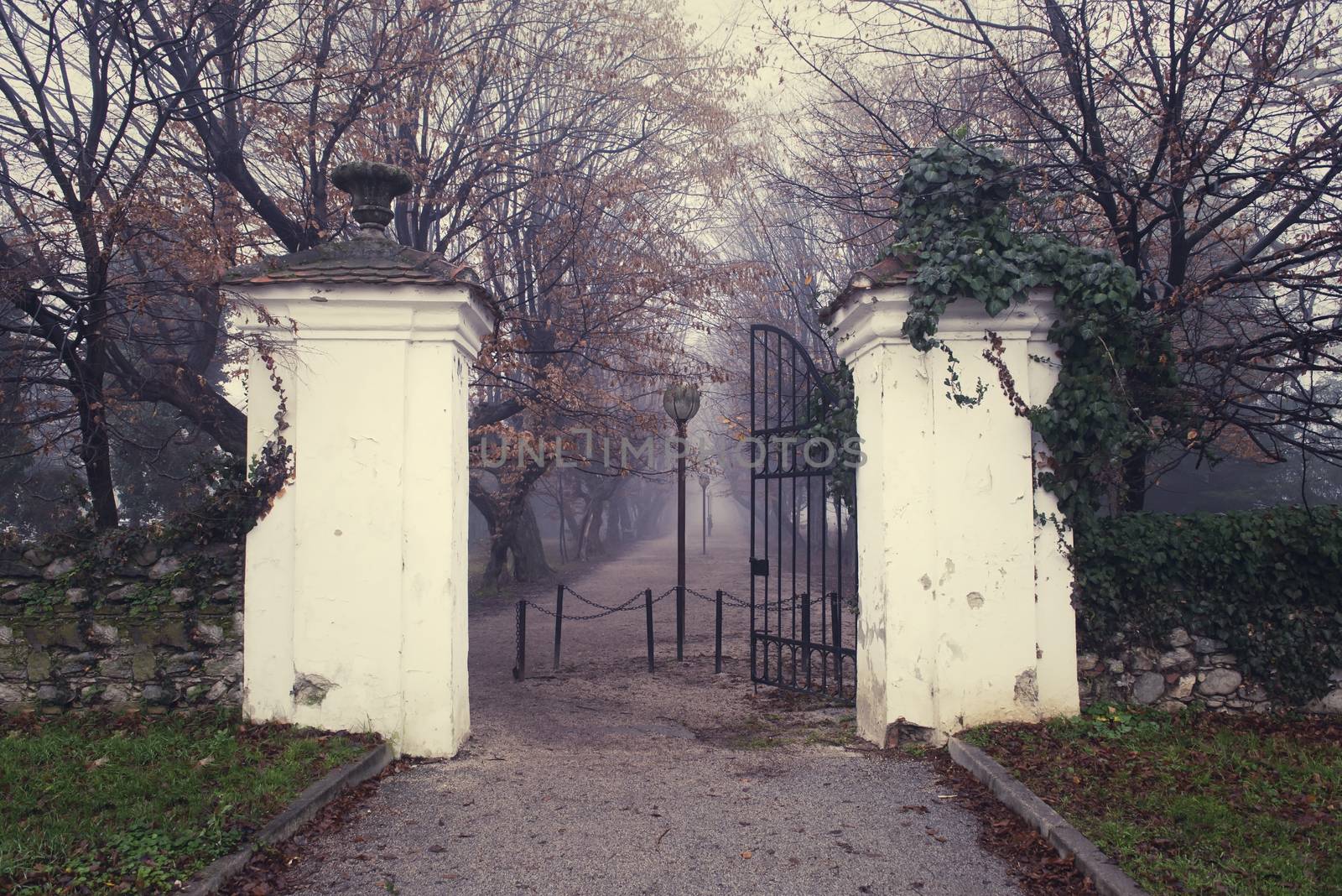 Central park alley vintage entrance with towers and iron gates o by asafaric