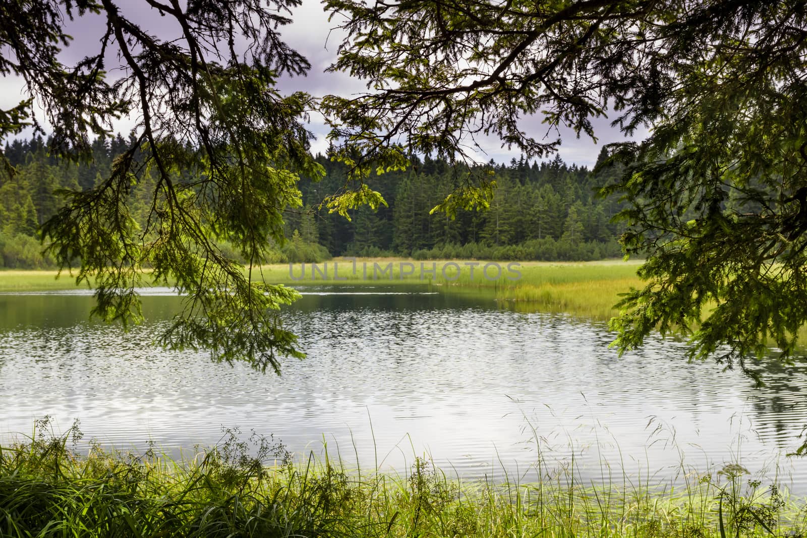 Crno jezero or Black lake is an artificial lake created in late 19th century. The dam was built at the end of a hollow to accumulate the waters of the Crnava stream needed for bringing wood into the valley. Today, the lake is mainly a natural monument and a wildlife refuge