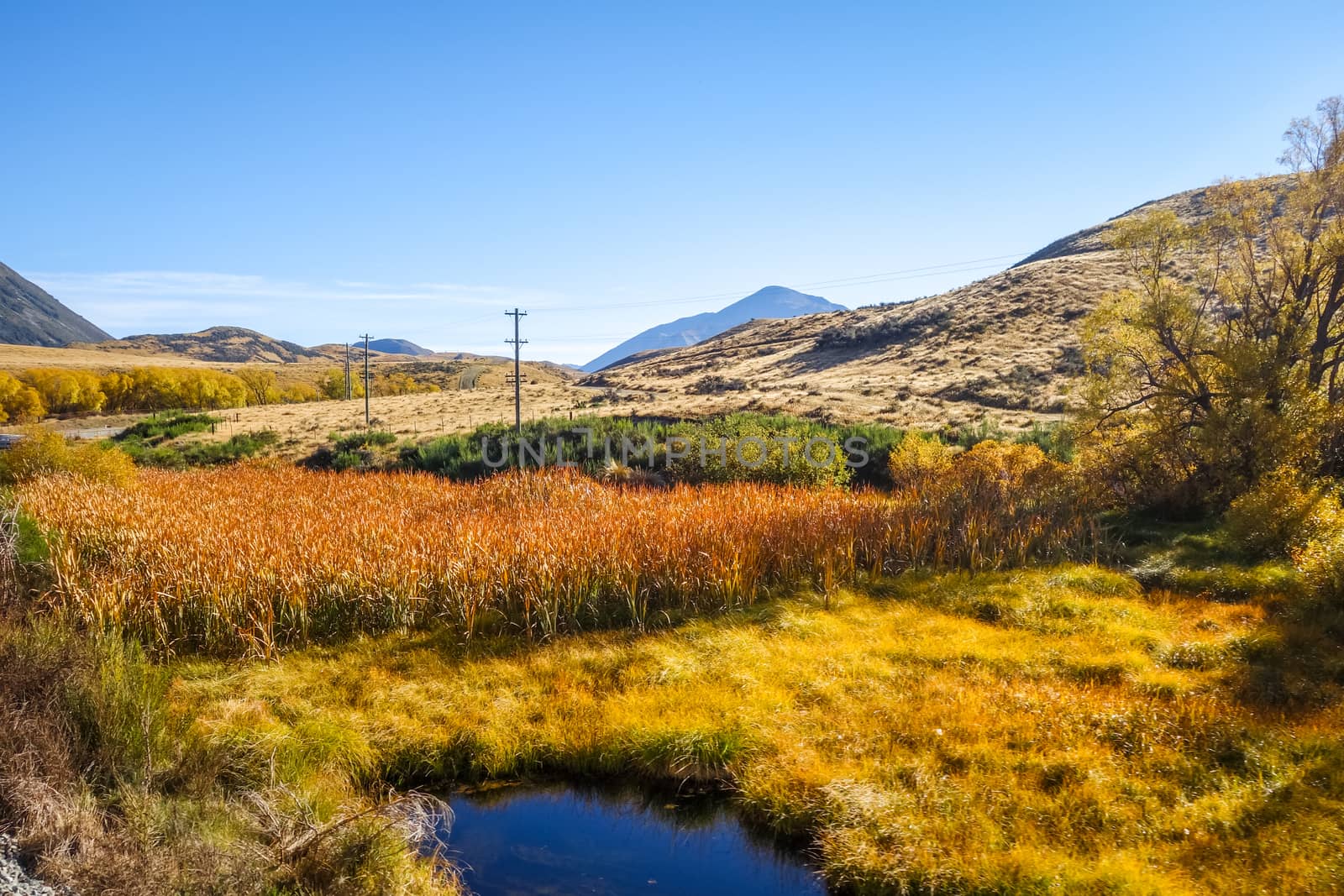 Mountain fields landscape in New Zealand by daboost