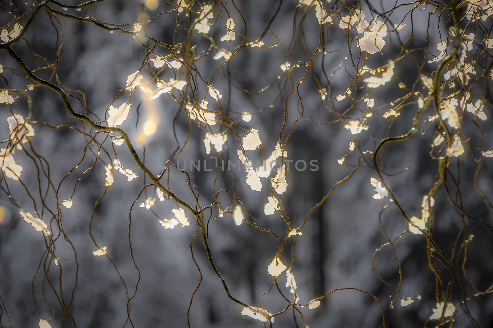 Tree branches and twigs covered in ice and snow, backlit with sunlight, providing stunning sparkles and golden glitter