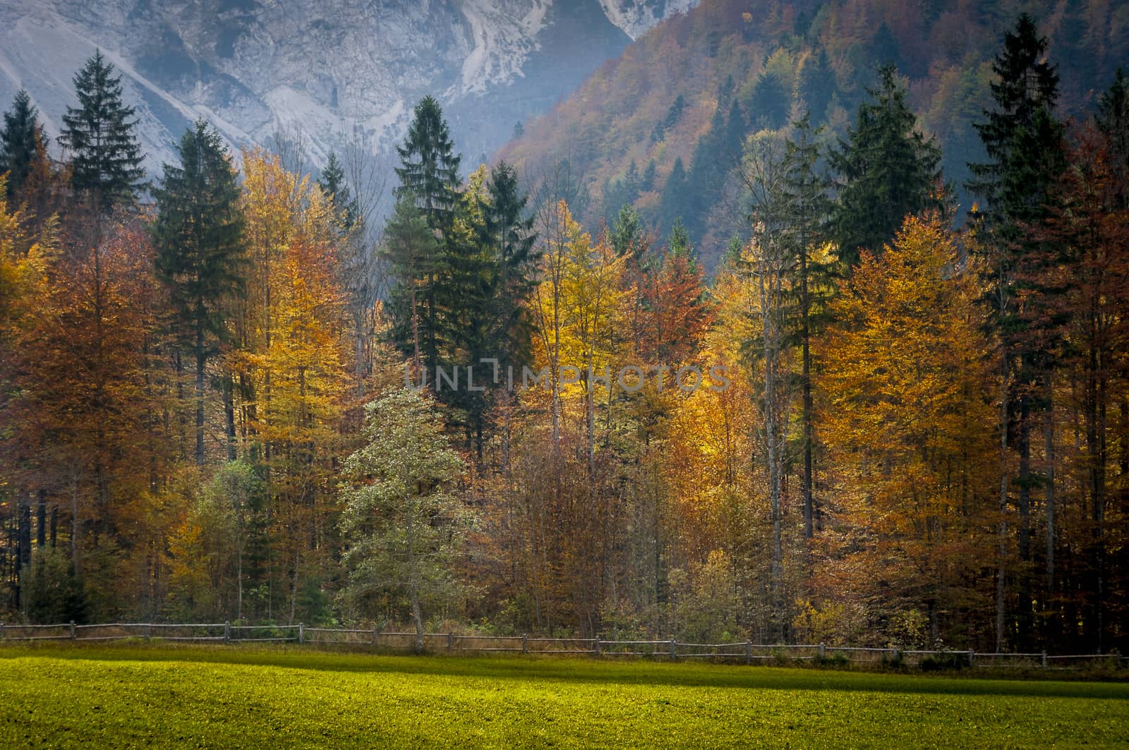 Autumn in Logarska dolina, Slovenia. Colorful red, orange and ye by asafaric