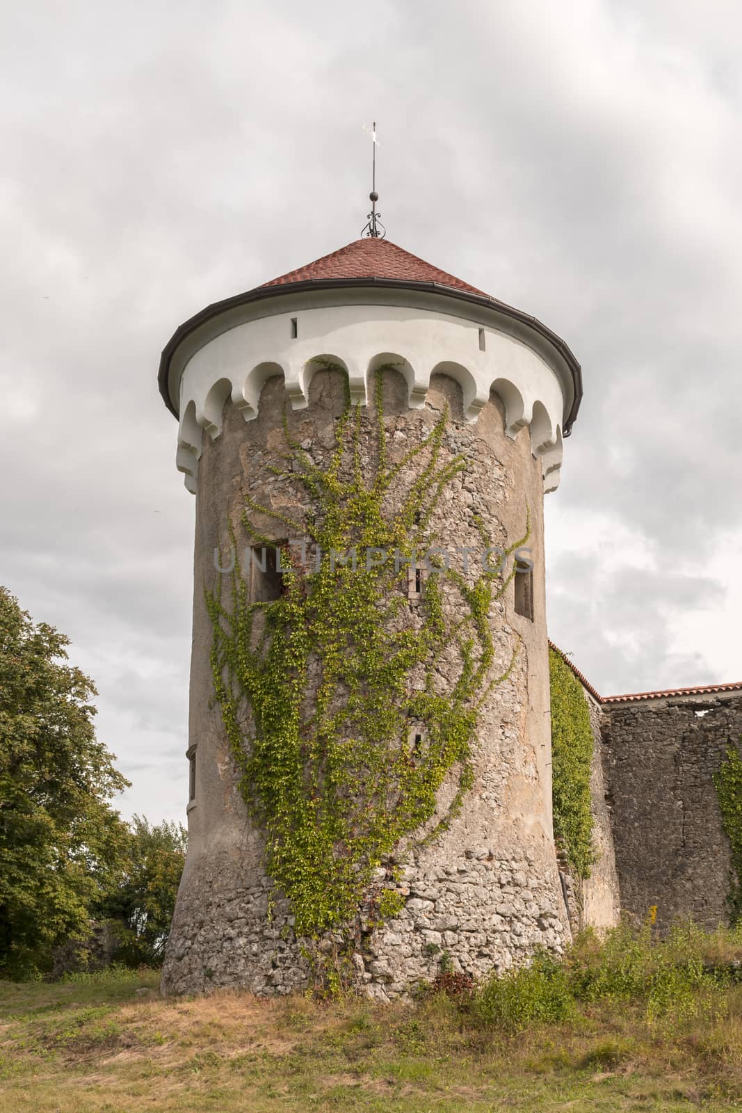 Watchtower and medieval ruins of Kalc (Kalec) castle, Pivka, Slovenia. The castle was built around 1620, today only the tower and ruins of an outbuilding remain.