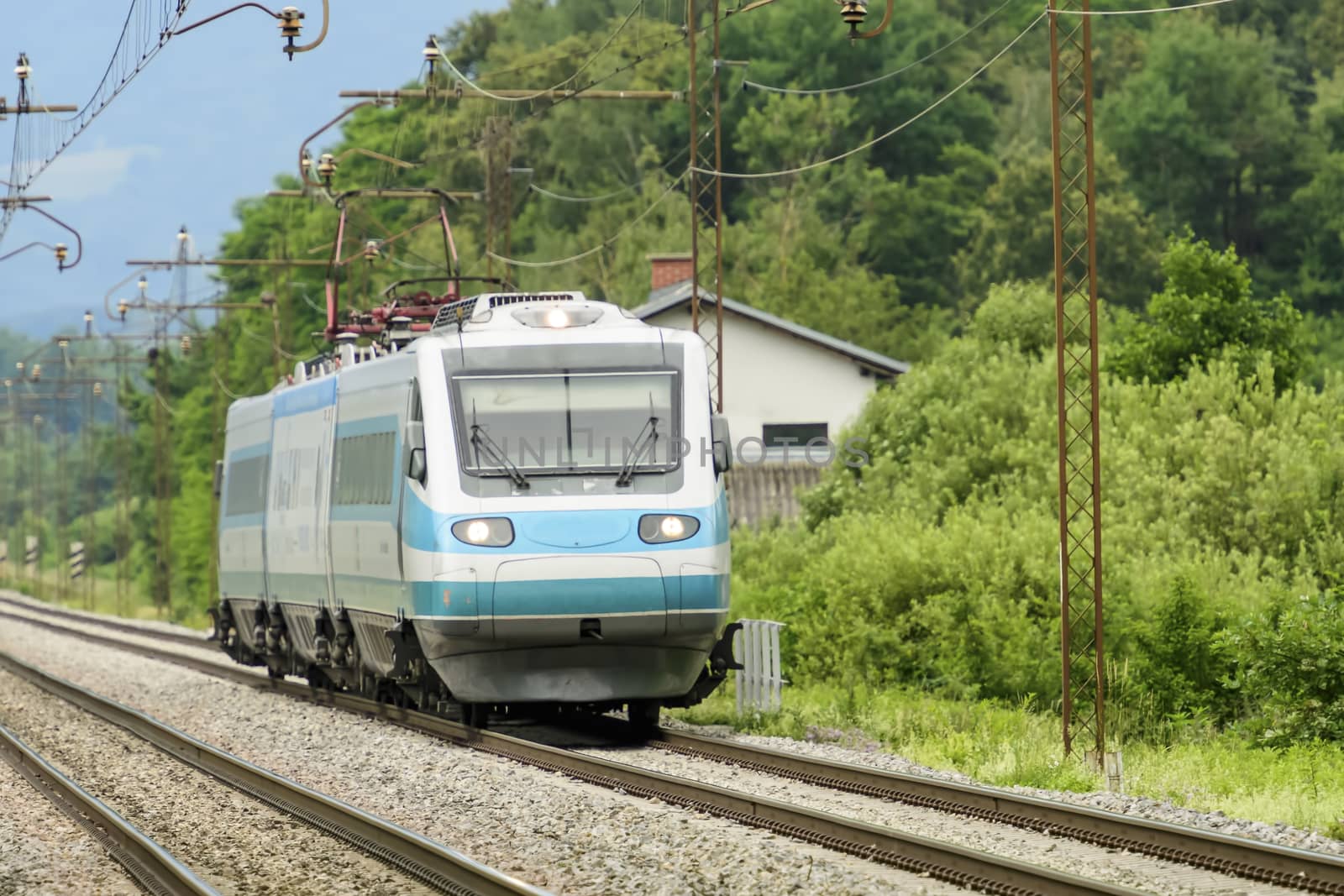 High speed passenger train approaching head on in wooden landscape