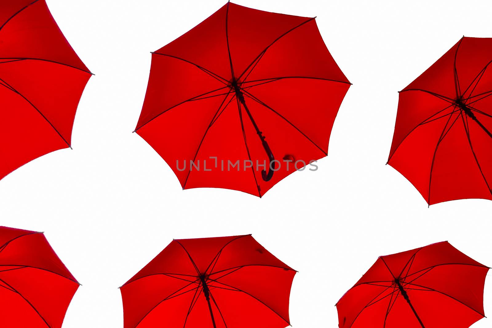 Red umbrellas on white background by asafaric