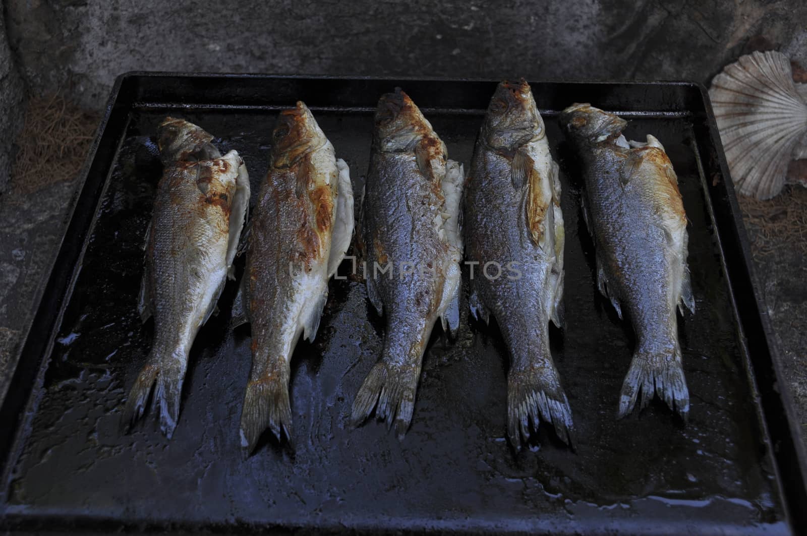 Sea bass on grill by asafaric