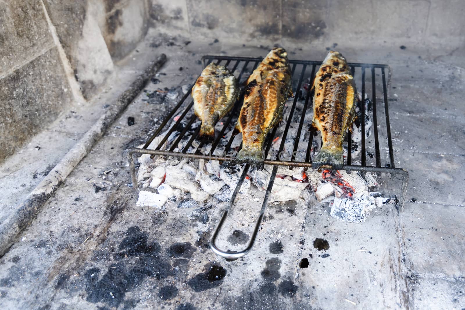 Sea bass grilled the traditional Dalmatian way on steel grill bars on hard wood embers