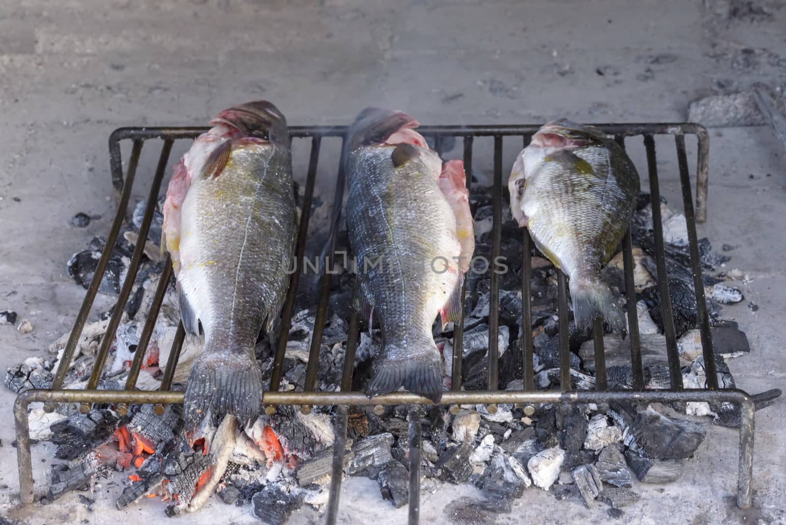 Sea bass grilled the traditional Dalmatian way on steel grill ba by asafaric