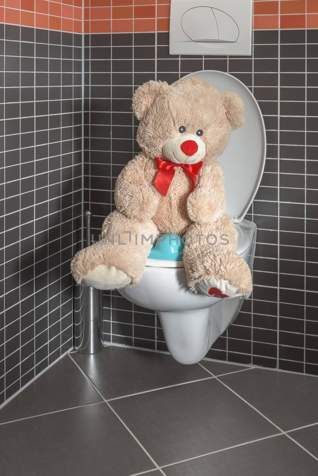 Toy teddy bear sitting on WC toilet bowl in bathroom, early childhood, potty toilet training - teaching