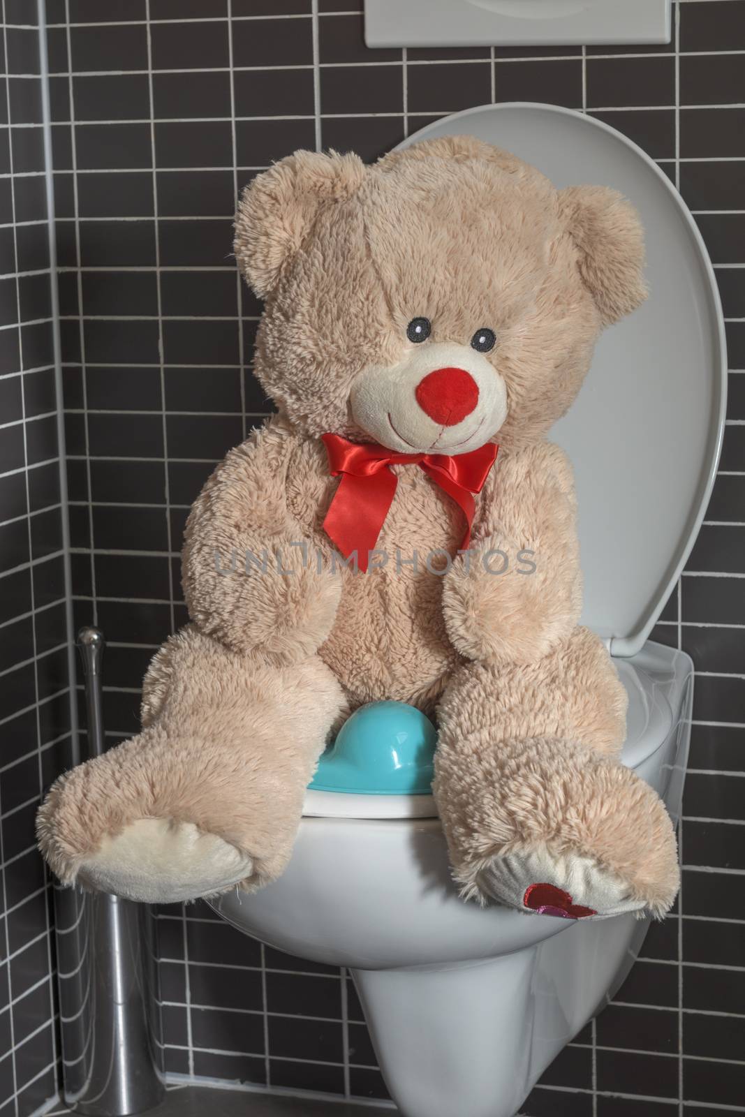 Toy teddy bear sitting on WC toilet bowl in bathroom, kids potty by asafaric