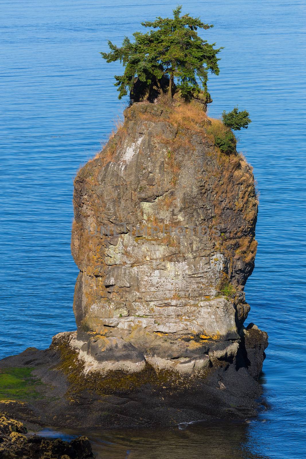 Siwash Rock at Stanley Park in Vancouver British Columbia Canada
