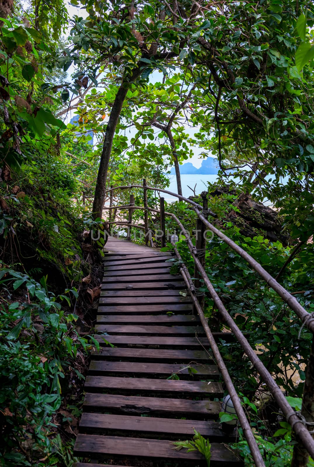 wooden bridge path in asia amongst trees, Thailand by kosmsos111